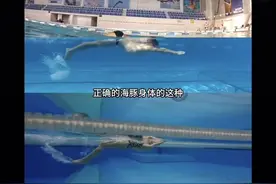 蝶泳的躯干波浪发力真的太重要了！没有正确的波浪就谈不上蝶泳图片