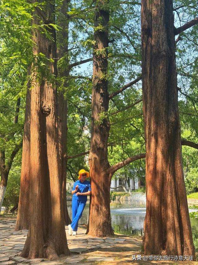 旅居在合肥，合肥及周边值得一游的景点