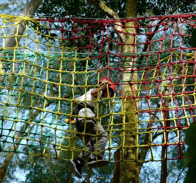 琼海元旦“嗨玩指南”来啦！