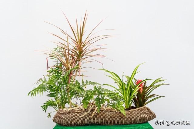 女人主动“勾”男人时，90%的女人都会说这两句话，男人别不懂