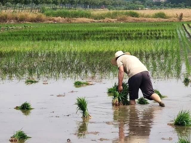 医生发现：夏季还坚持戴帽子的人！用不了多久，身体或会有5改善