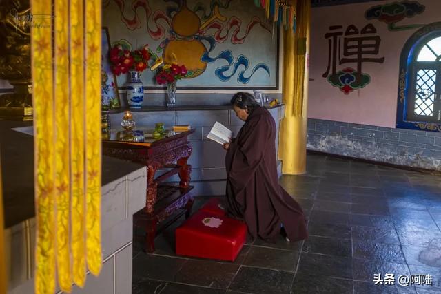 探秘云南省常住出家众最多的净土女众道场,在塔顶还偶遇主持诵经