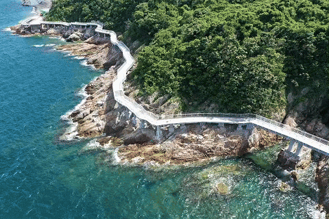 「七夕·终极浪漫指南」