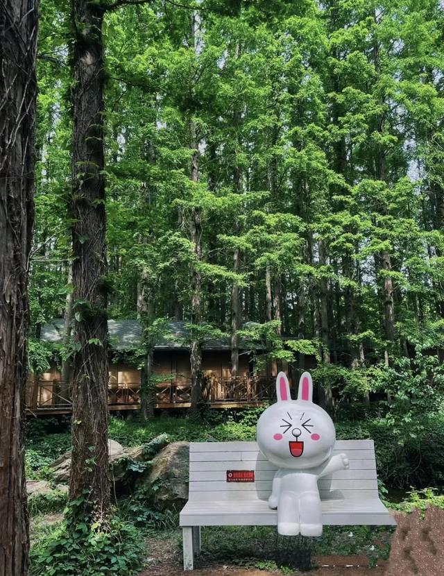 山东隐藏的“宝藏”城市日照：比青岛安静，比威海真实，值得一去