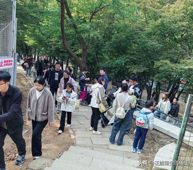 青岛动物园深度游指南：百年历史+五大展区，改造后更值得期待！