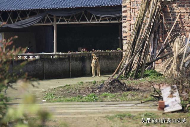 2023年春重庆探亲游（上篇）