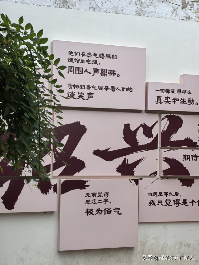 秋游绍兴鲁迅故里 从百草园到三味书屋 从城里少爷到民族脊梁