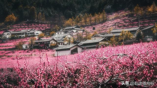 从背包到星辰，一场跨越 24 年的旅行启示，写给在路上的中年人