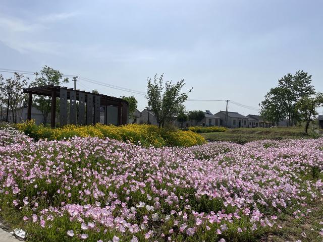 骑游浦口永宁醉美青山渔村