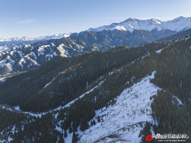 吉木萨尔渭户沟：雪落山林披银装 冬日画卷藏诗意