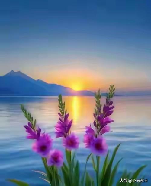 暗恋1835天今天我终于打开了他从不让我碰的盒子，后悔得浑身发抖