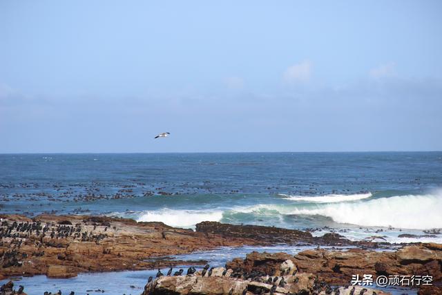 南部非洲：南非好旺角