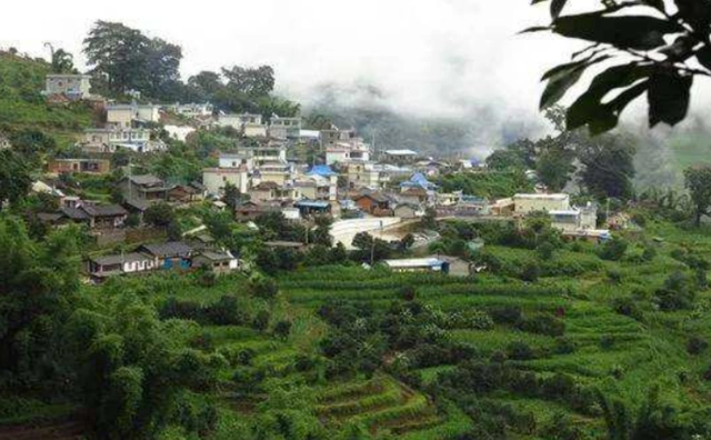 云南大山深处一村落：家家都住别墅，满山都是摇钱树收入不菲