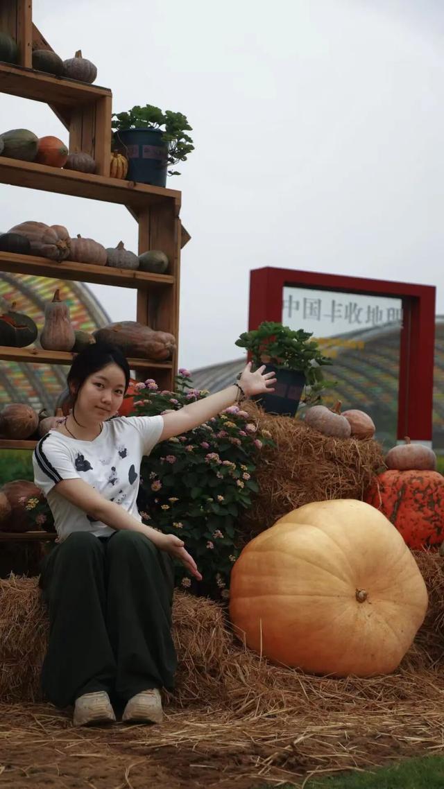 新津的秋，又美又好玩儿→