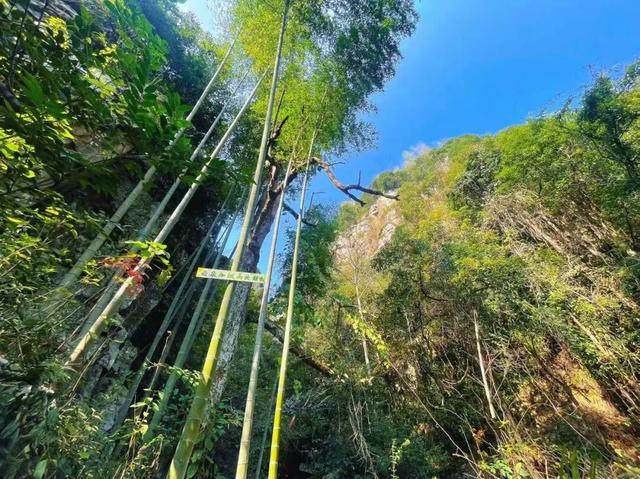 祝贺！上犹县陡水镇犹崇古道被授予省级地名文化遗产……