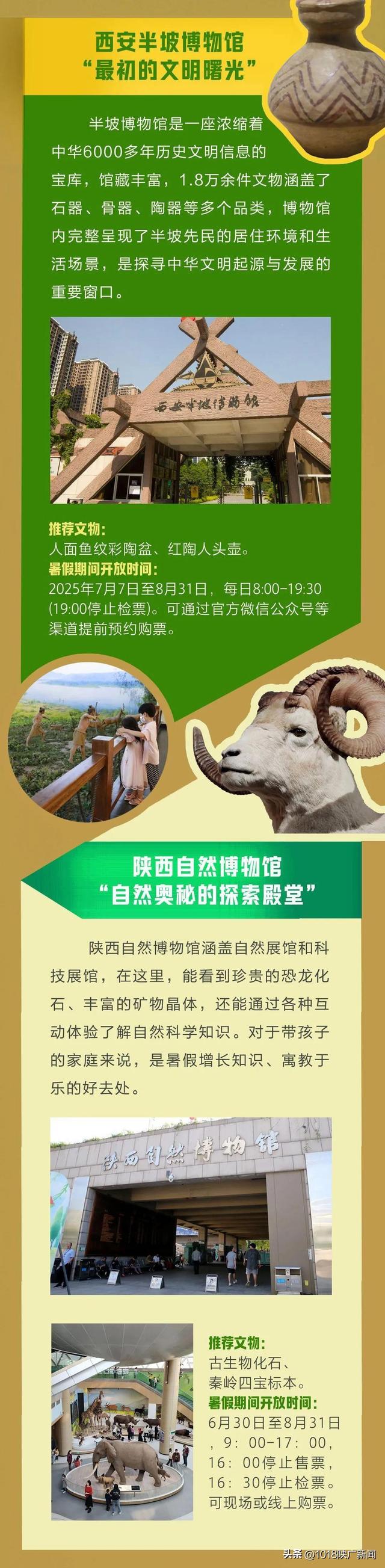 必打卡！陕西境内博物馆暑期漫游清单