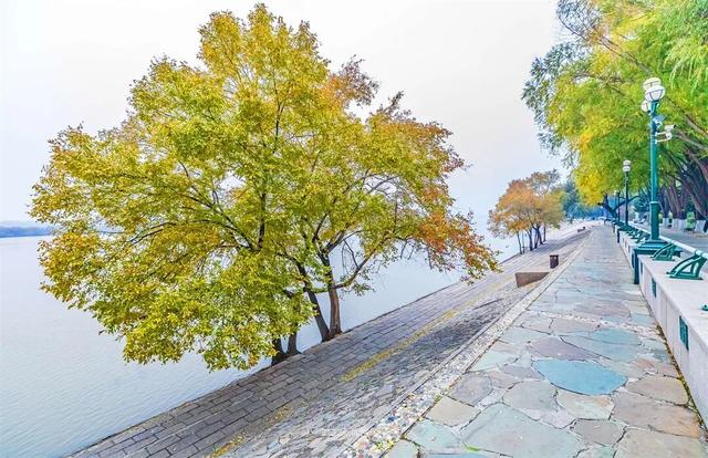 这样的哈尔滨，你见过吗？