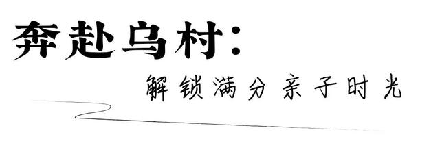 《向往的生活》同款乌镇慢游