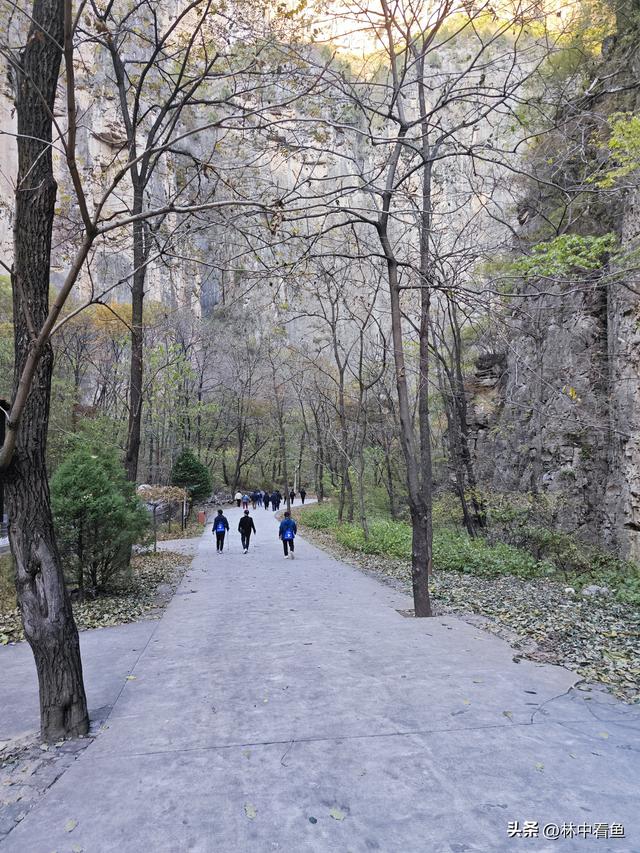 过周日找寻山水景，遇免费畅游通天峡——山西平顺通天峡游记