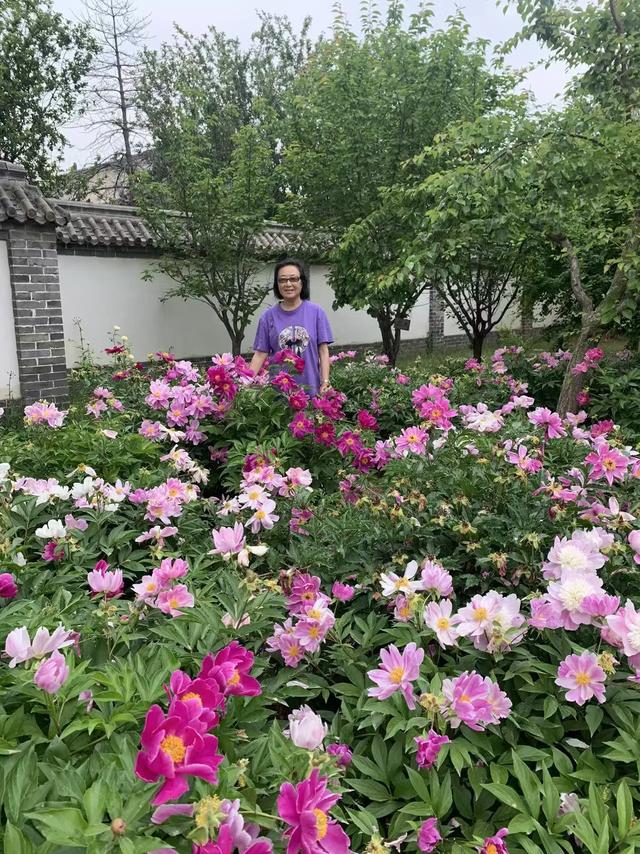 游沧州河间府署,没想到包公在此任过职,河间也曾阔过配姓赵么?