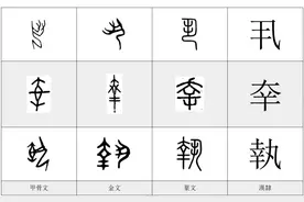 每日一字——執图片