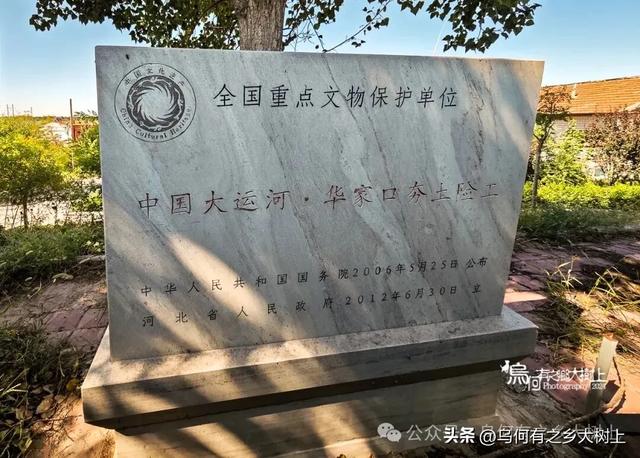 惊叹古人工程质量！景县华家口堤坝建于1911年，百年未有决口