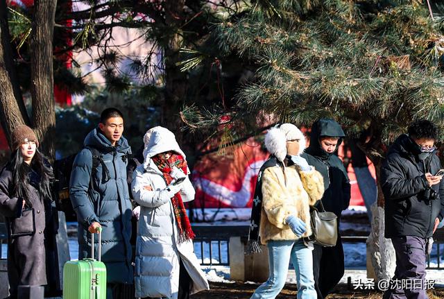 【城市观察】这个元旦，沈阳着实“火”了一把！零下二十摄氏度的沈阳，如何留住远方客？