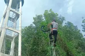 因地制宜做好水，智慧水务进黎乡图片