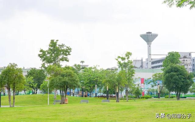 逃离城市热浪！东莞这个秘密花园藏不住了