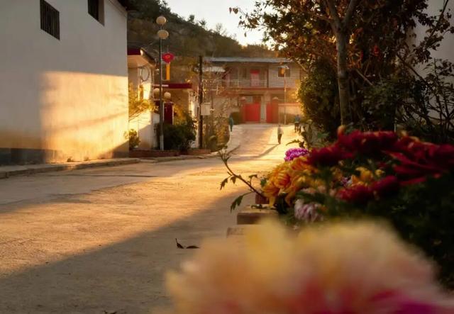 初冬赴高桥：山水藏诗 古迹含情