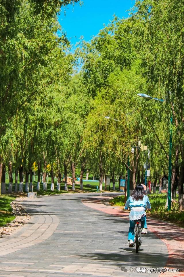 @即将开学的新生们，这份榆林宝藏游玩攻略，请查收！