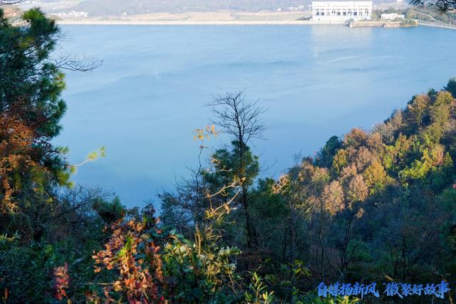 自媒扬新风，“徽”聚好故事!安徽自媒体同心圆活动走进芜湖