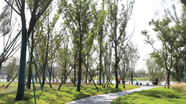 鹊华胜景，诗韵流芳！济南起步区鹊山生态文化区（一期）正式开园