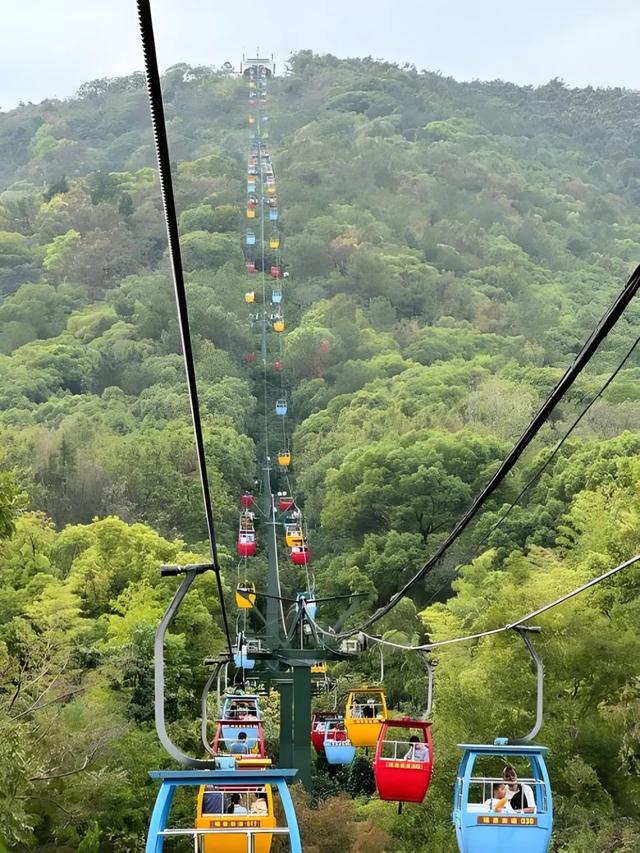 杨建民：相聚西峡 战友情深（三）