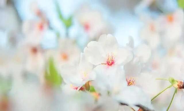 女人最怕的，不是你不主动，而是你在她动心时“退缩了”