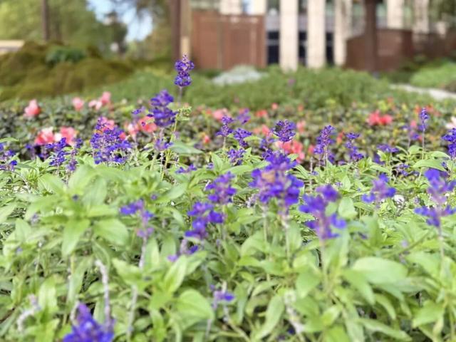 口袋公园上新！把“石库门”风情搬到街头