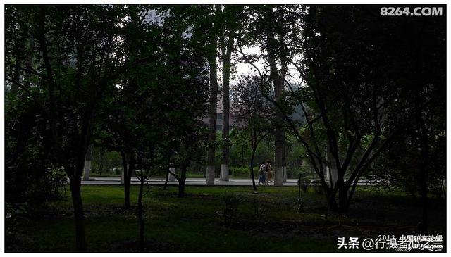 山东行游影记（17）—济南山东大学（四）