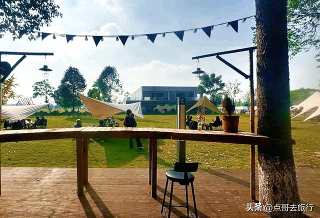 免费！成都府河上的水杉红惊艳来袭，地铁公交车直达！