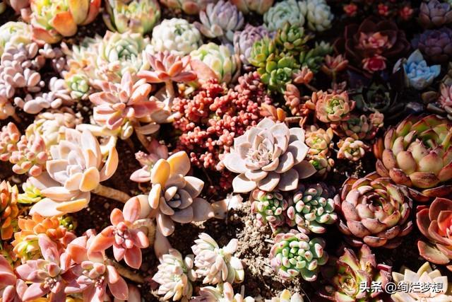 “忙”字背后，爱已悄然退场？