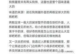 你见过最硬核的动物园是哪家？能省则省，能挣则省，朋克风动物园图片