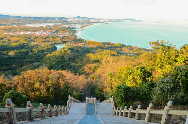 山景正宜人！青岛这里的山，已美到Next level