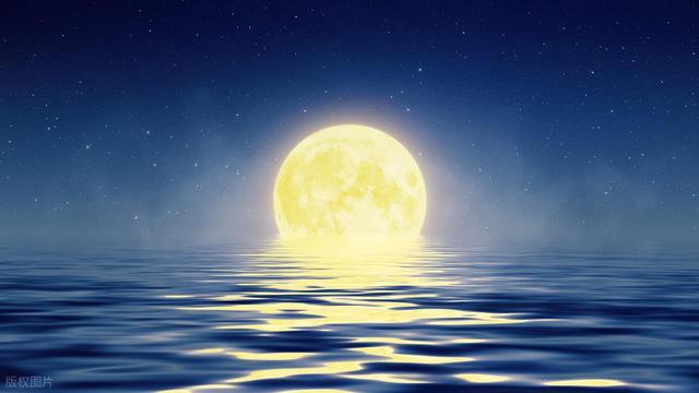 江南行 风光美 作者 张德富