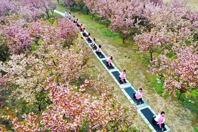山东一5A级景区官宣：免门票啦！就在家门口