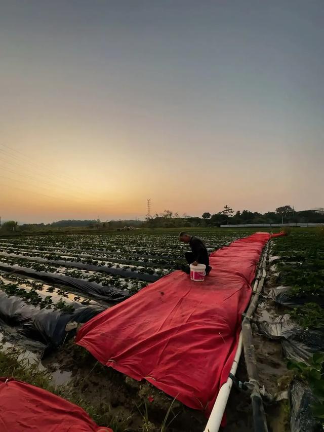 从化漫游记:撞见广州最温柔的落日与烟火