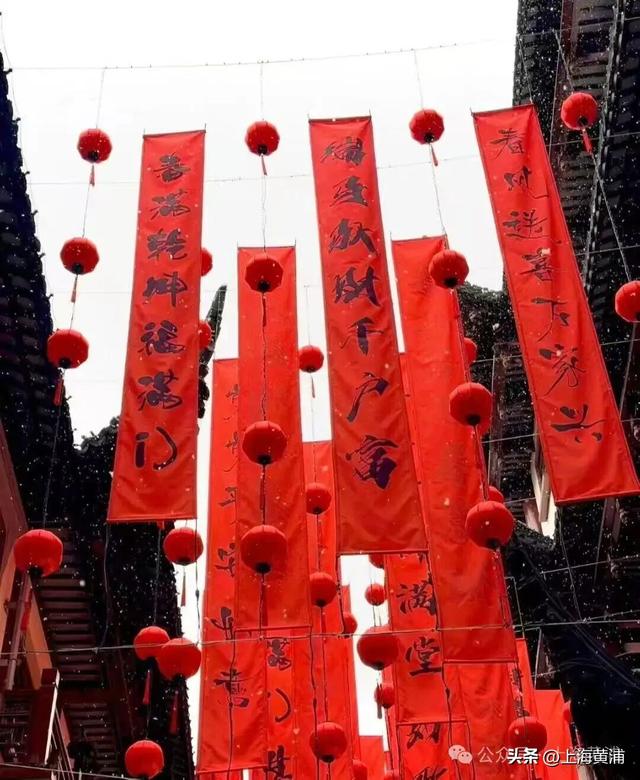 雪落豫园，绘就江南诗意画卷