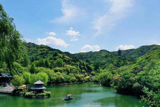 免票畅玩！百合花海+星空露营，济南这个4A景区限定福利来袭~