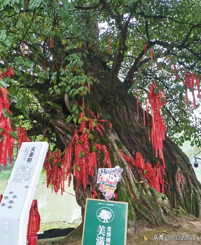 又一惊喜！成都超低调古场镇，是318国道第一站，好吃的巨多！
