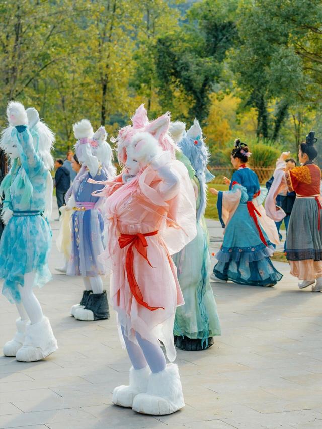 秋假搭配松弛感，齐云山的秋天有亿点不一样 | 皖美冬日 | 第十五届安徽国际文化旅游节
