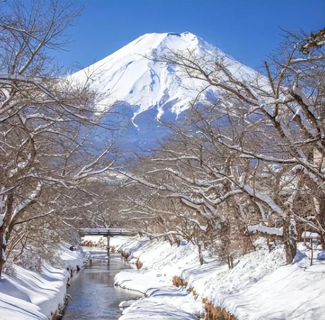日本旺季变“杀局”， 又是熊袭又是停航 ， 这一波去旅游纯属找罪受