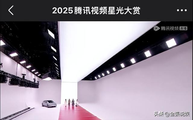 海南红毯好俗，毛晓彤挤出副乳，张萌深V不怕走光，宋茜胸骨凸出